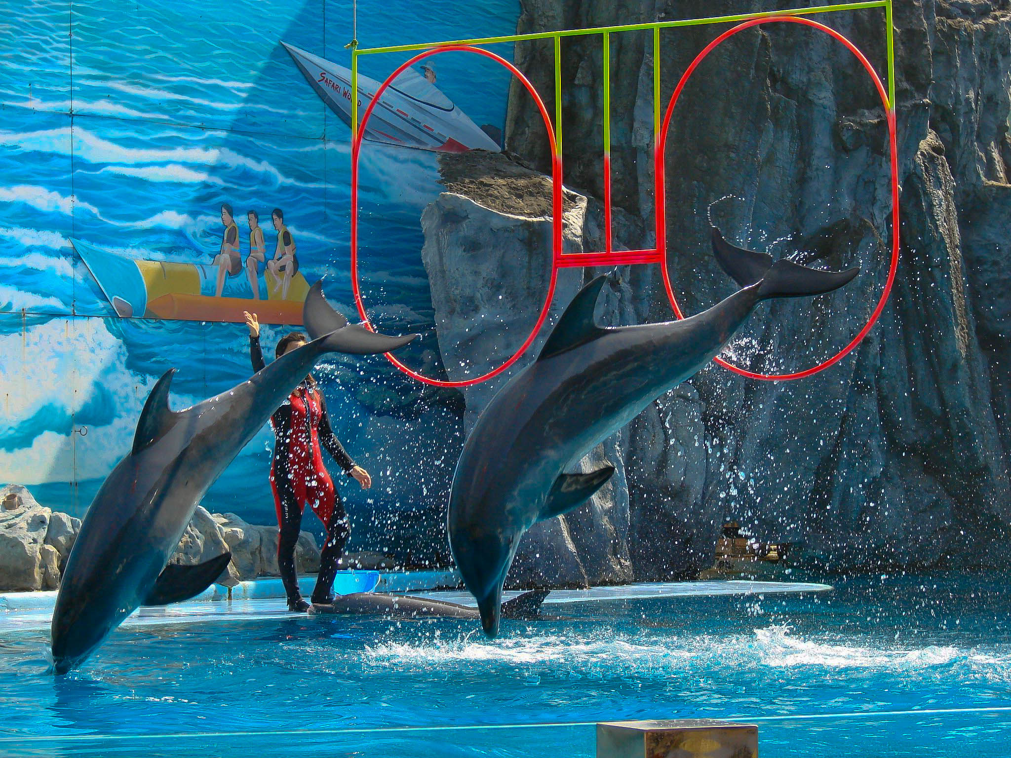 Дельфин турагентство в тайланде туры в тайланд в апреле на двоих